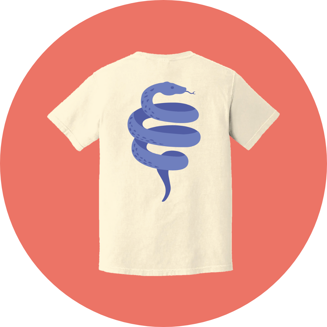 PRE ORDER Spring Logo T-shirt